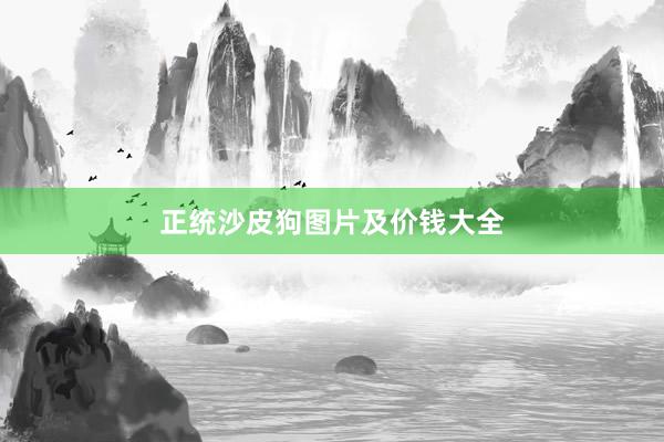 正统沙皮狗图片及价钱大全