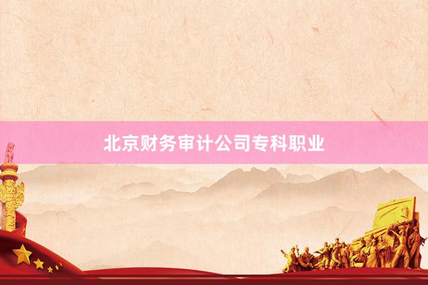 北京财务审计公司专科职业